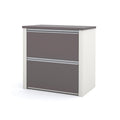 2 Drawer Lateral File Cabinet with Ball Bearing Slides Legal Letter A4 Size 31W in.