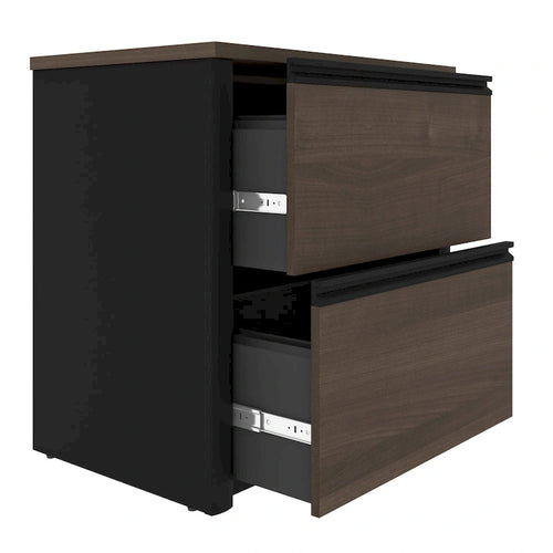 2 Drawer Lateral File Cabinet with Ball Bearing Slides Legal Letter A4 Size 31W in.