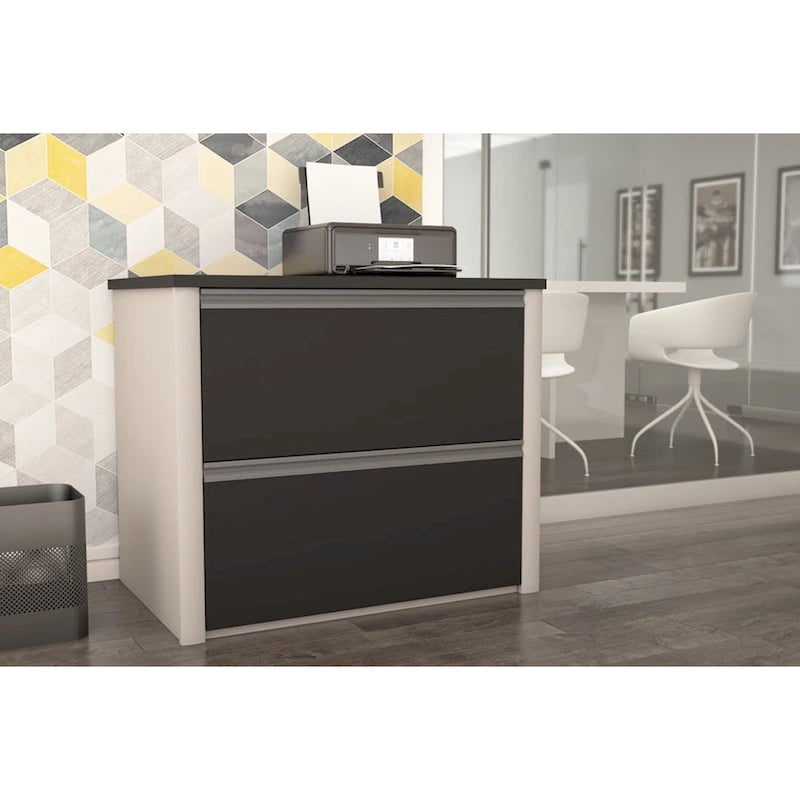 2 Drawer Lateral File Cabinet with Ball Bearing Slides Legal Letter A4 Size 31W in.